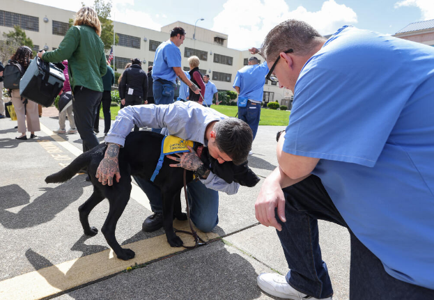 incarcerated holding dogs