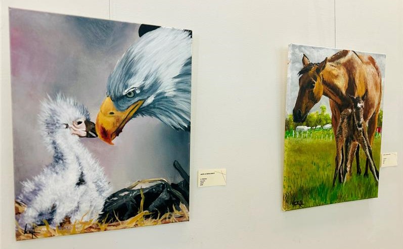 PVSP mental health paintings