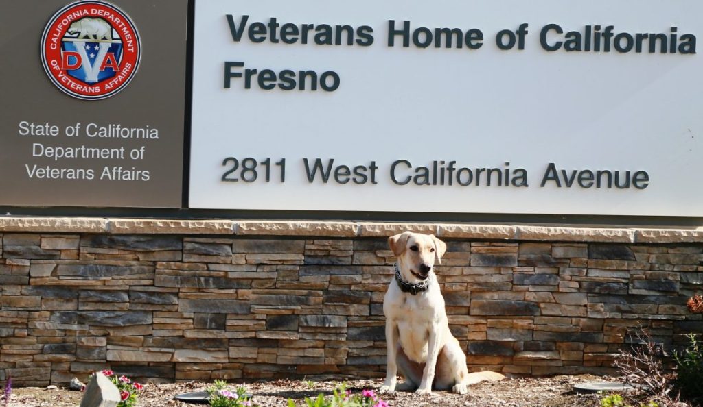 K-9 Bacardi sits in front of sign at Veterans Home of California in Fresno.
