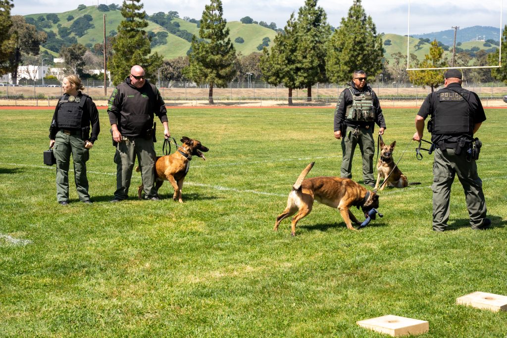 K-9 demonstration with dogs from two California prisons.