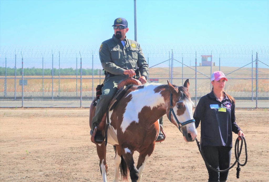 An officer on top of a horse at Valley State Prison.