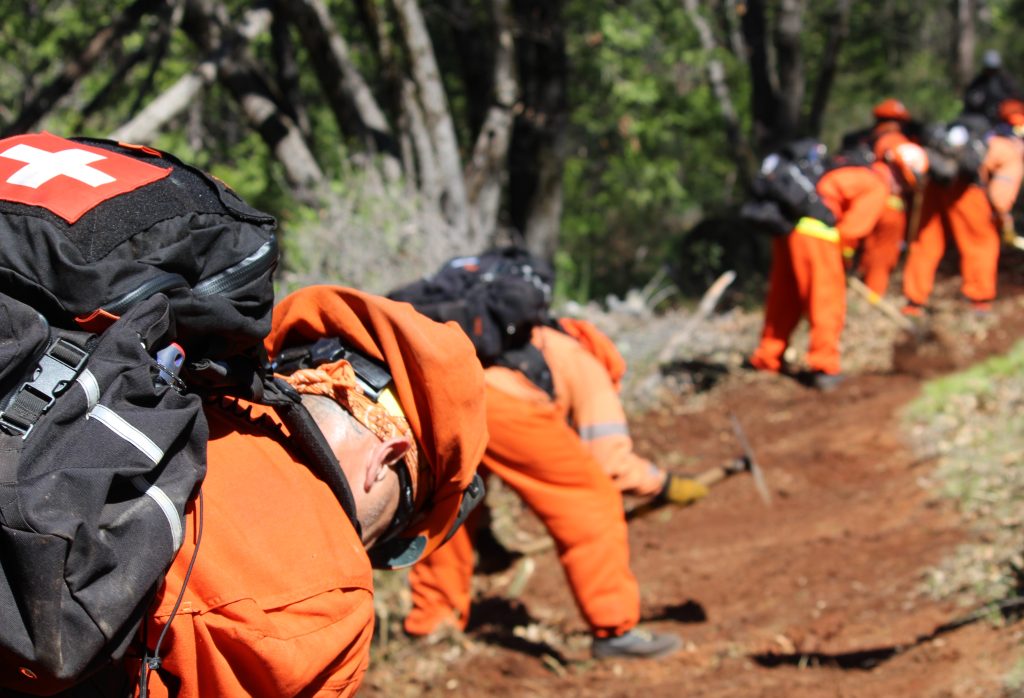 Growlersburg Conservation Camp fire crews cut a line as part of their training.