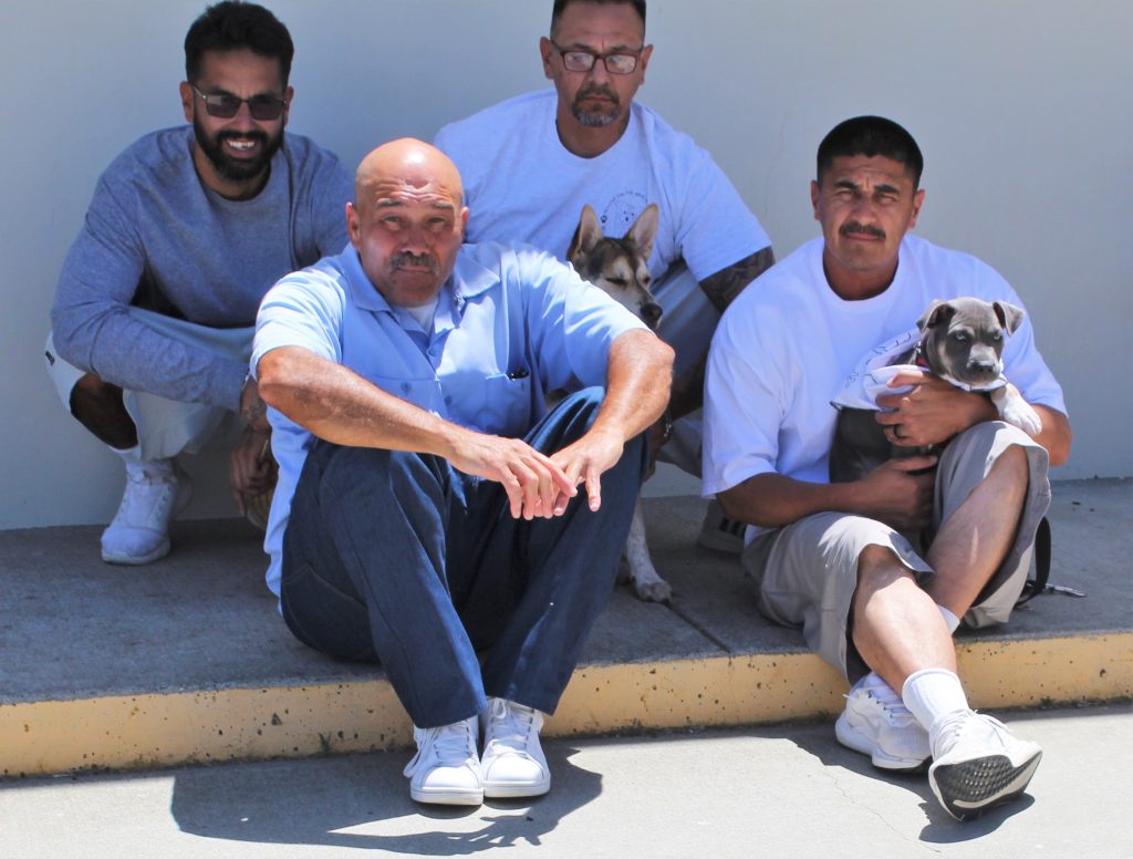 Four incarcerated men and some of the dogs they are training at Pleasant Valley State Prison.