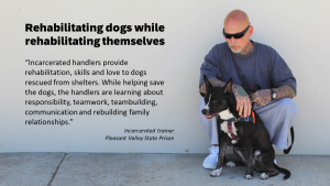 A photo of an incarcerated person at Pleasant Valley State Prison on National Dog Day with a dog he is training and the words: Rehabilitating dogs while rehabilitating themselves. “Incarcerated handlers provide rehabilitation, skills and love to dogs rescued from shelters. While helping save the dogs, the handlers are learning about responsibility, teamwork, teambuilding, communication and rebuilding family relationships," incarcerated trainer, Pleasant Valley State Prison.