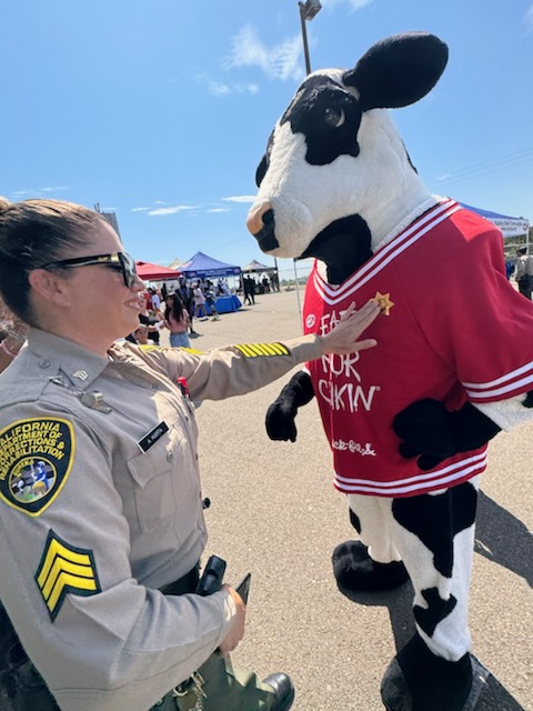 A CDCR sergeant and a cow mascot.