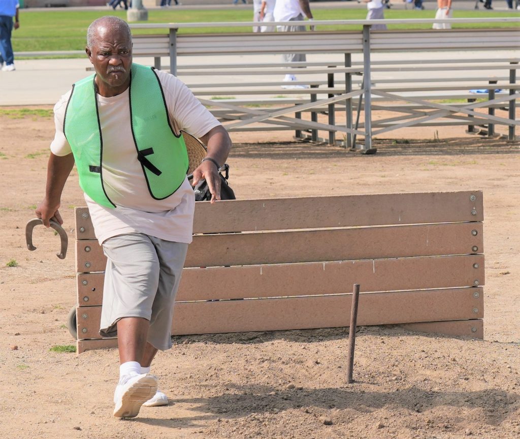 Horseshoes for adaptive games.