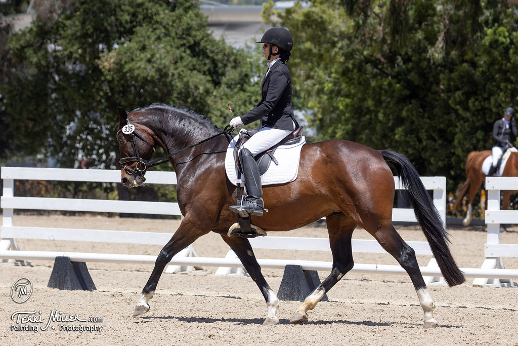 CIW Dr. Gail Fernandez on horse