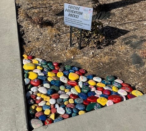 Painted rocks with anti-suicide messages are displayed in a rock garden at RJ Donovan Correctional Facility in San Diego, California. 