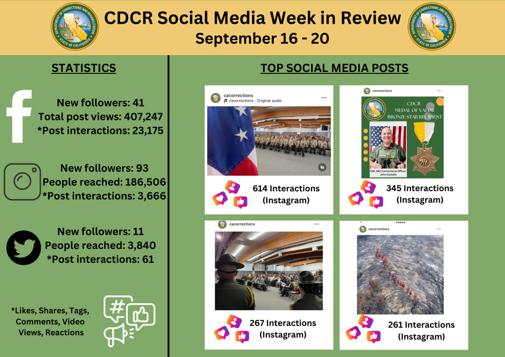 Social Media statistics