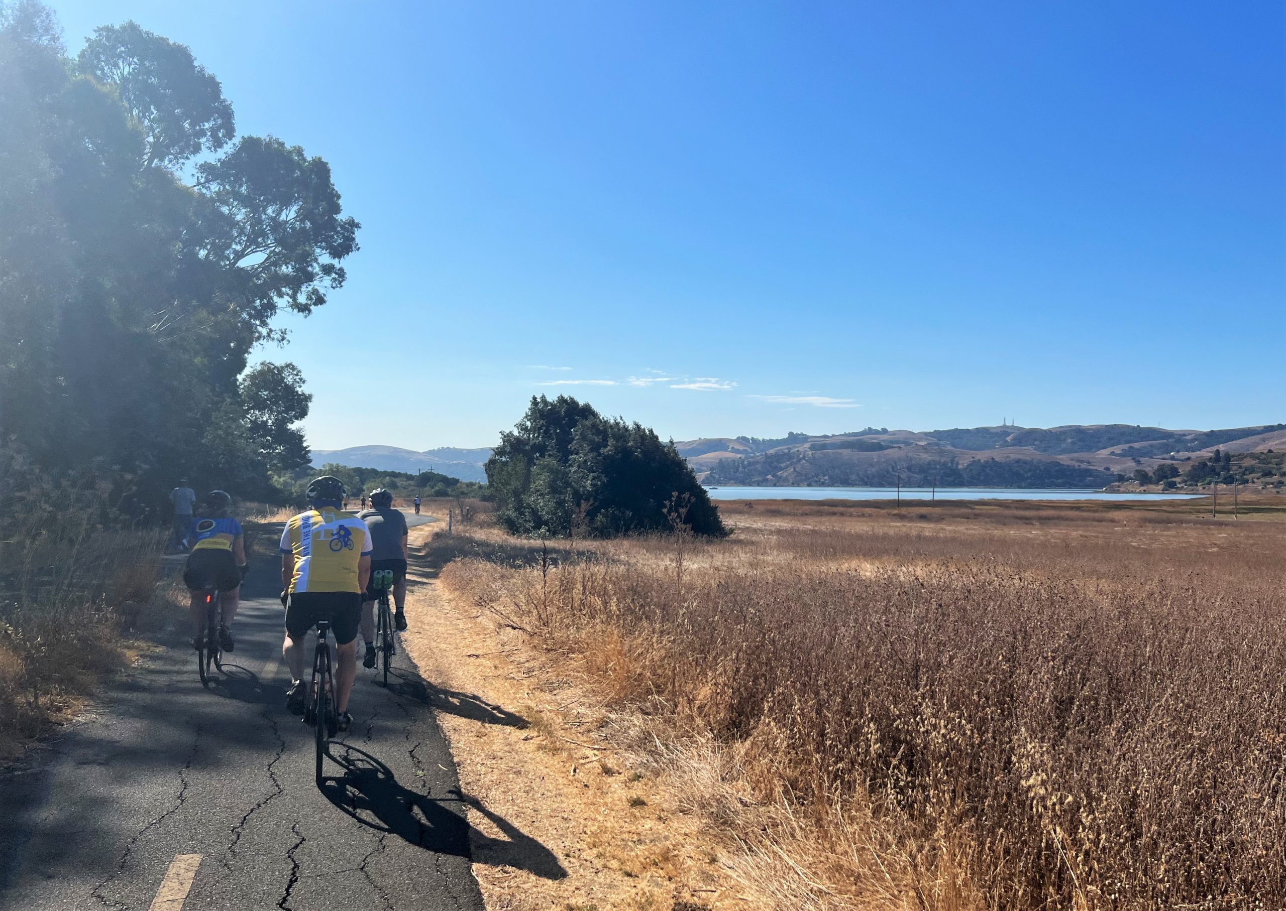 Staff riding along a field with water in the background for Bike the Bridges to benefit Special Olympics Northern California.
