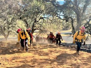 CDCR fire crews walking up hill