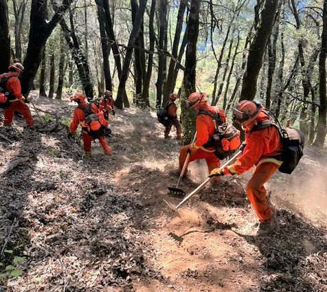 Incarcerated firefighters working in the forest