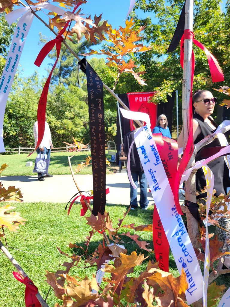 Remembrance for those murdered through ribbons.