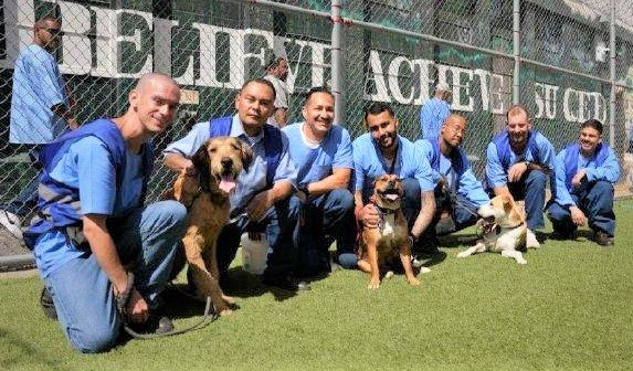 FSP incarcerated with dogs