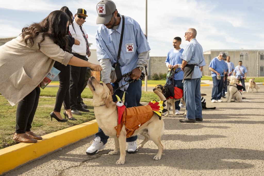 Dogs receive treats for Halloween during the pooch parade at CIM.
