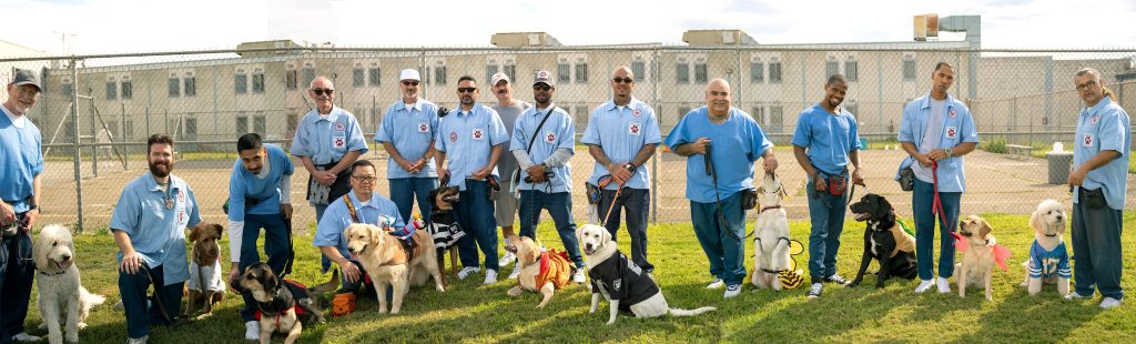 Incarcerated people and service dogs at California Institution for Men at Chino.
