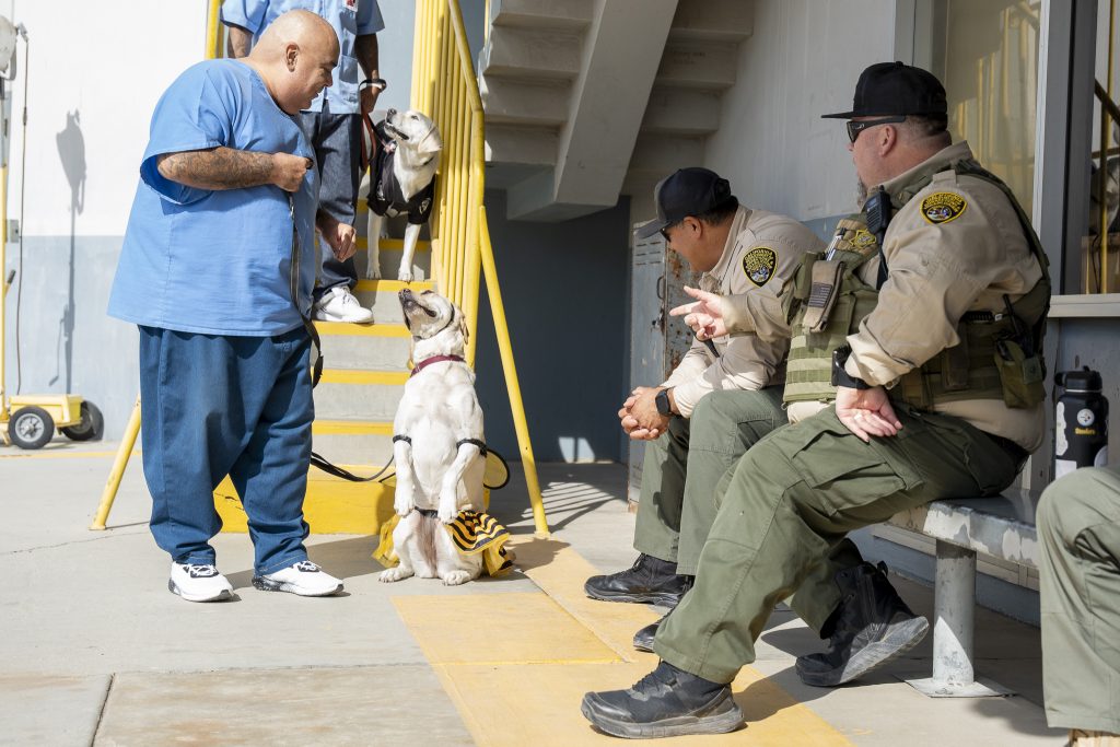 Costumed dogs greet CIM staff along the parade route.