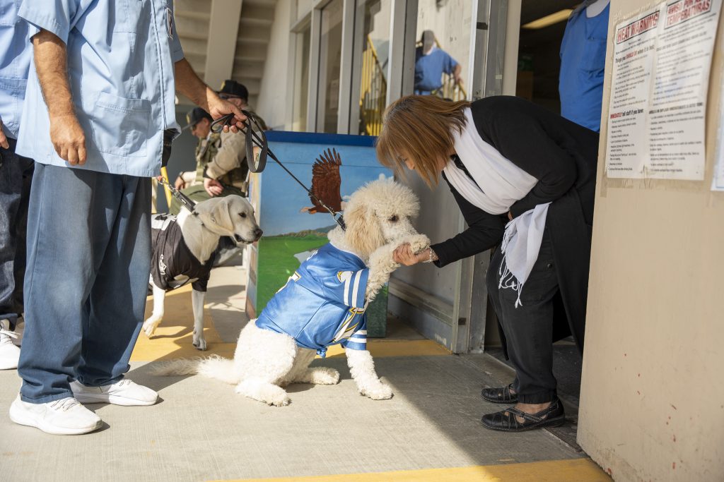 Dogs trick-or-treat during a Halloween parade at California Institution for Men in Chino. A woman shakes a dog's paw during the parade.