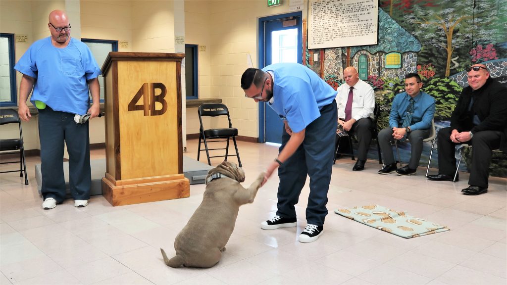 Corcoran graduation ceremony for five dogs who completed training.