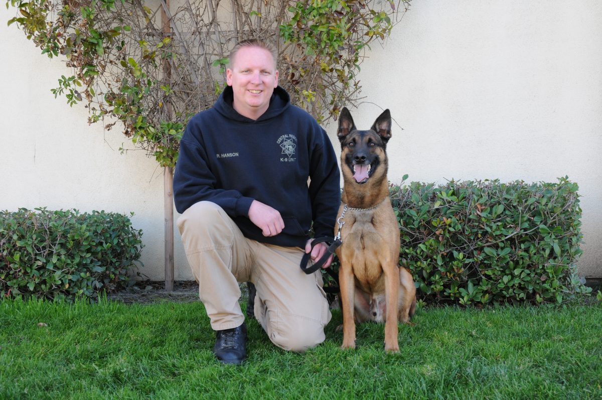 Retired K-9 Viking back when he graduated the academy with Officer Hanson.