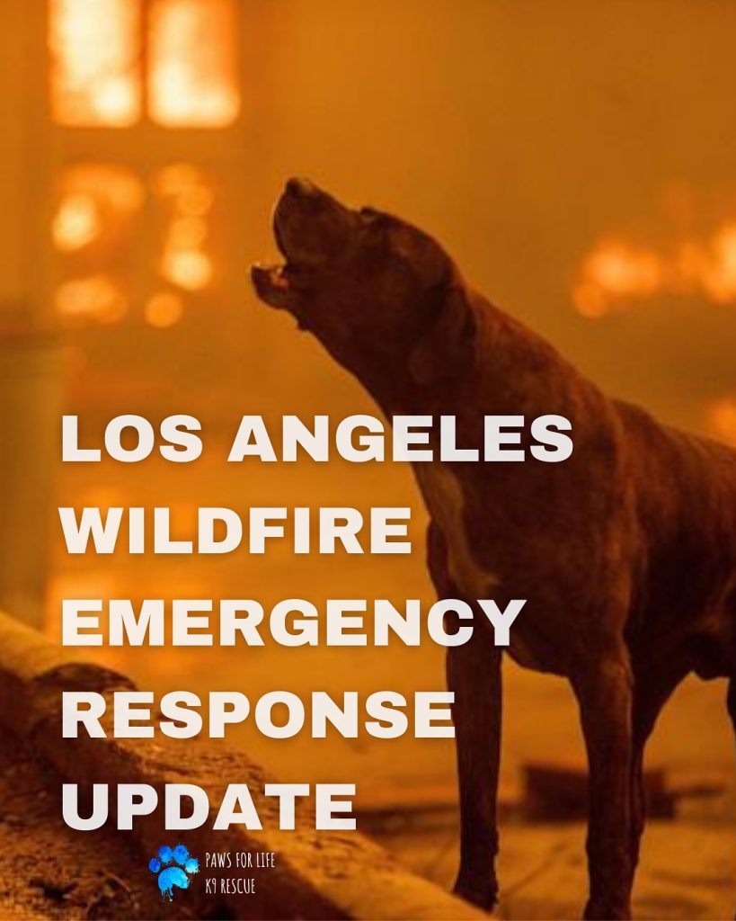 Photo of dog howling, with caption: Los Angeles Wildfire Emergency Response Update, 