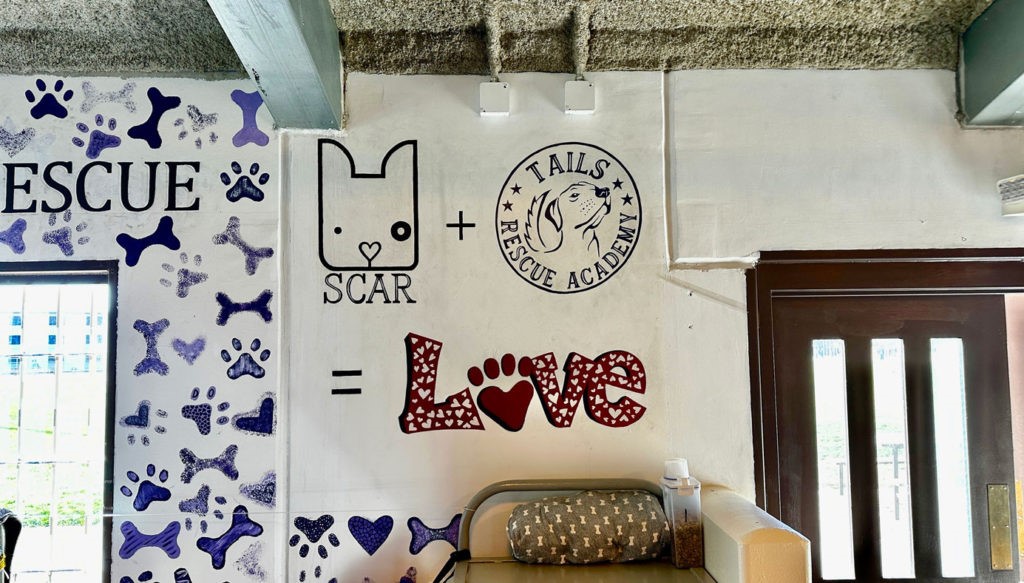 Image of Tails K9 rescue academy 