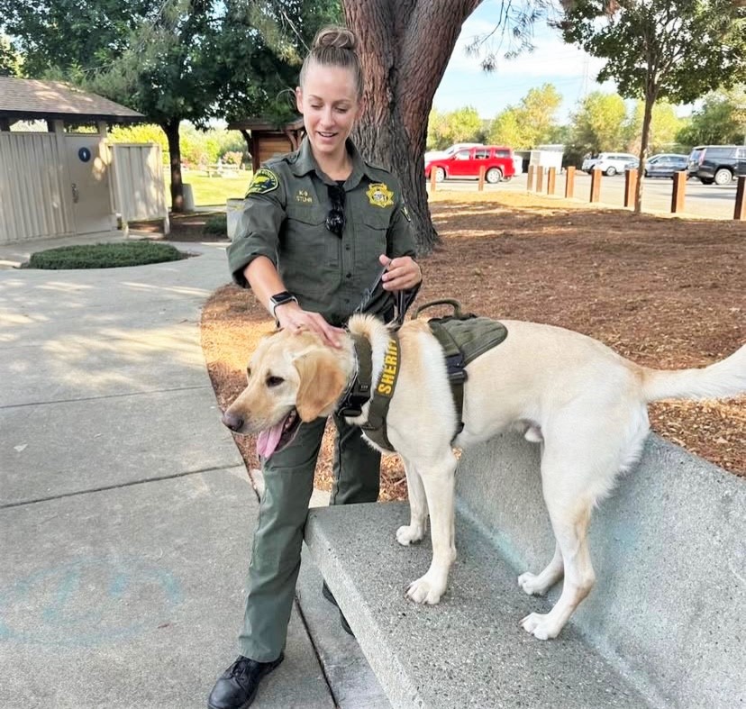 A sheriff's deputy K-9 correctional officer with her dog. 