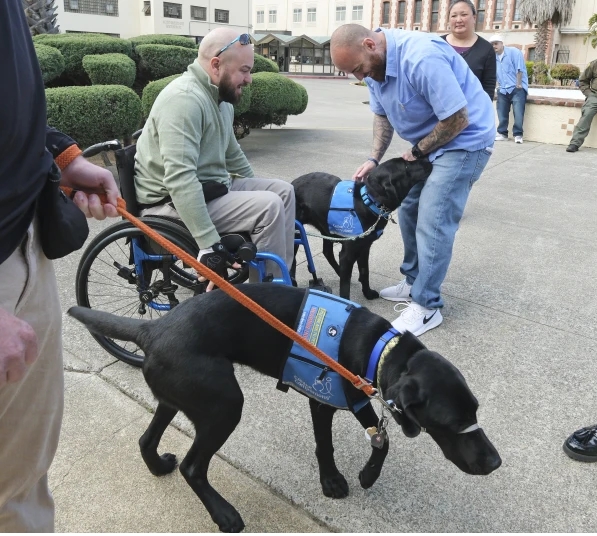 Incarcerated individuals with two black labradors