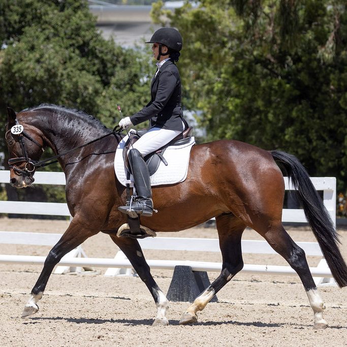Dr. Gail Fernandez and her horse, Belinda, competing in a horse show.