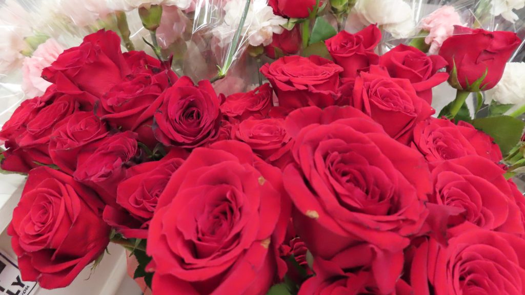 Roses at California Institution for Women during Mother's Day visiting in May 2025 at Corona, California.