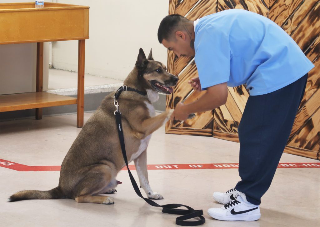 Paw shake for one of the dogs trained at CSP-Corcoran.