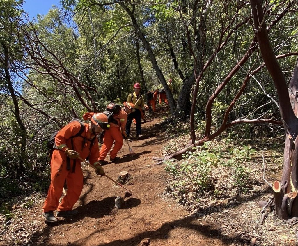 IP firefighters clearing a line