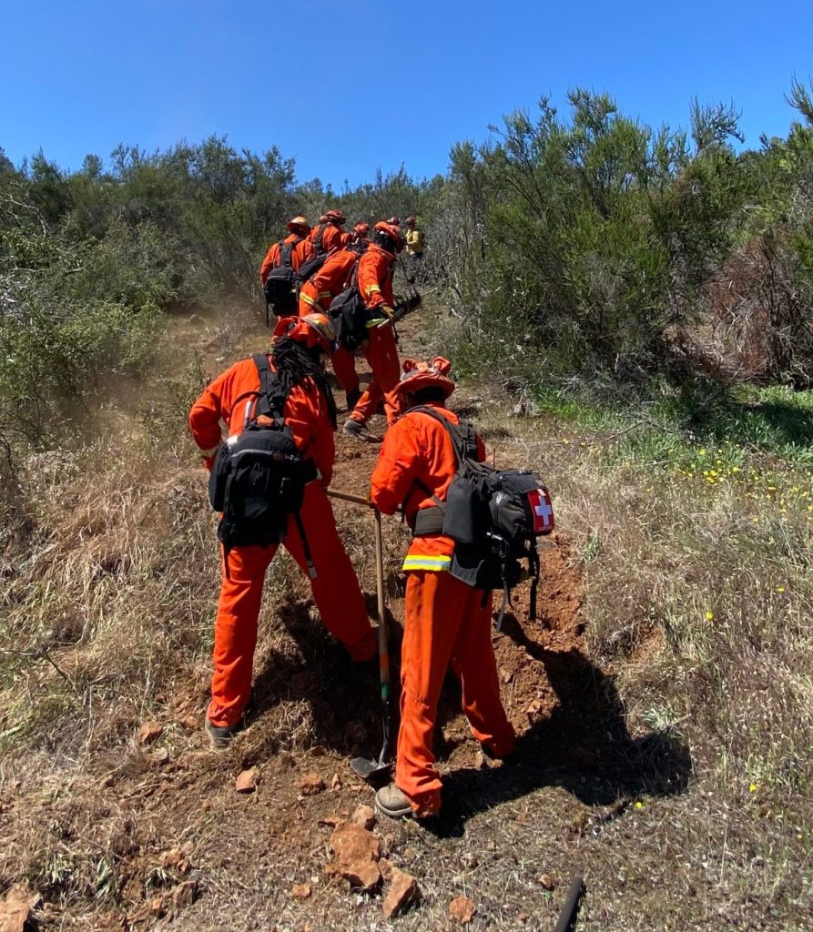 IP firefighters clearing a line