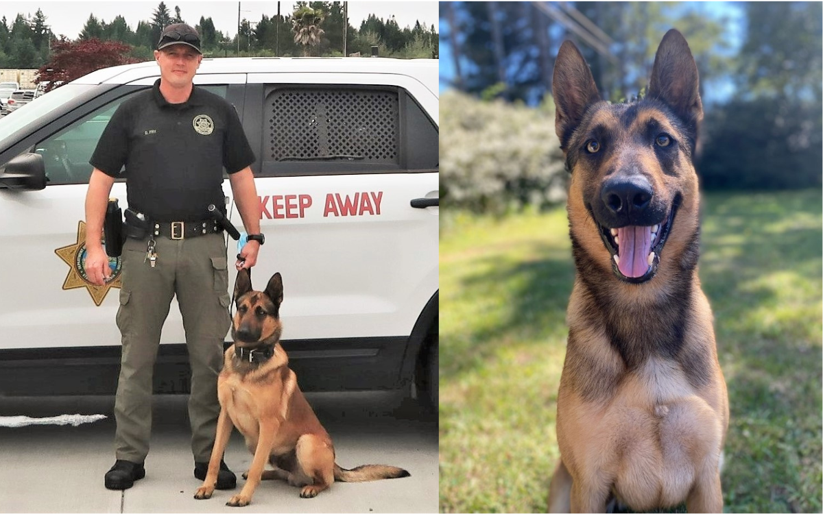 K-9 Leo from Pelican Bay State Prison passed away May 1 after losing a battle with cancer.