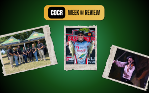 WIR feature image