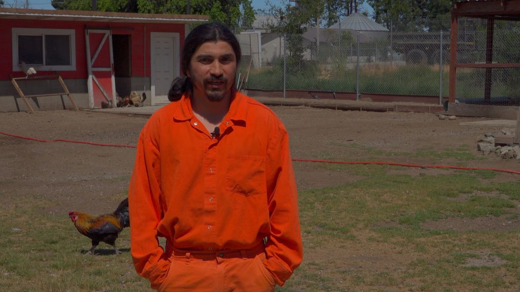Ben Lomond chicken farm provides eggs to the incarcerated population. The chickens and ducks are cared for by an incarcerated person known as Chicken Man.