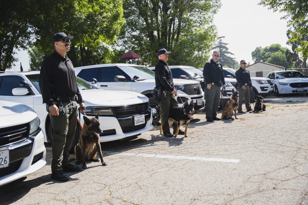 Officers and their K-9s in front of vehicles at California Institution for Men (CIM) in Chino, Calif.