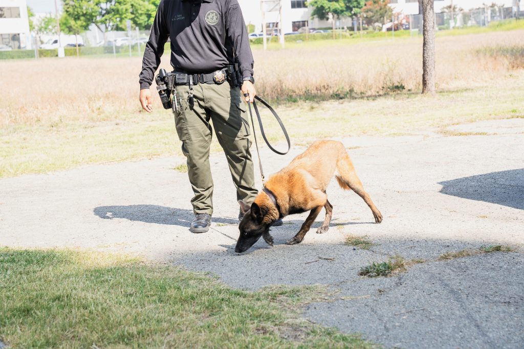 Officer and dog demonstration at CIM.