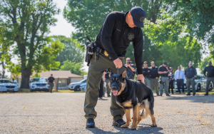 CIM held a ceremony to honor K-9s who detect contraband in the institution. Shown is a correctional officer and his K-9 partner as they prepare to demonstrate the dog's skills.