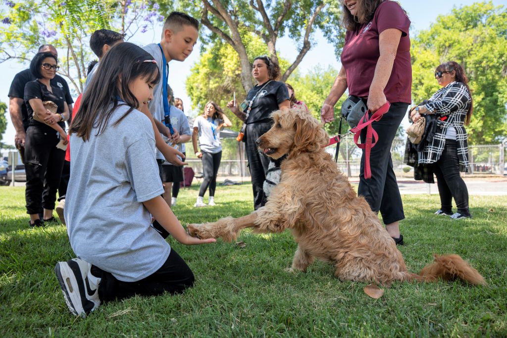 A service dog offers a paw to one of the children attending the Junor Academy at CIM.