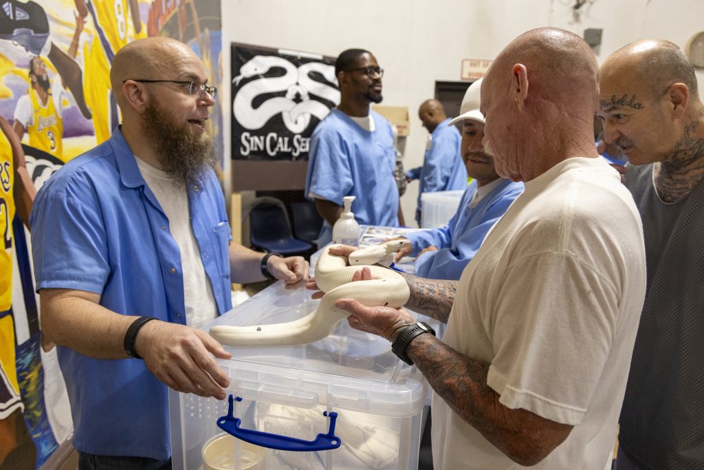 A reptile exhibit allowed incarcerated people a chance to learn more about snakes.