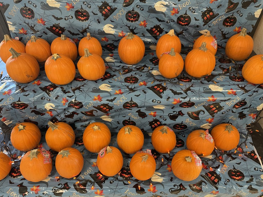 HDSP's pumpkin patch