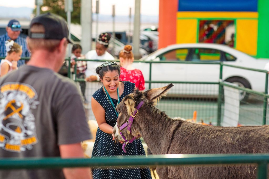 Staff petting zoo at LAC>