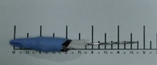 Solano contraband search.