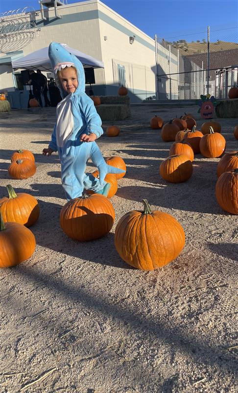 child in shark costume picking out pumpkins
