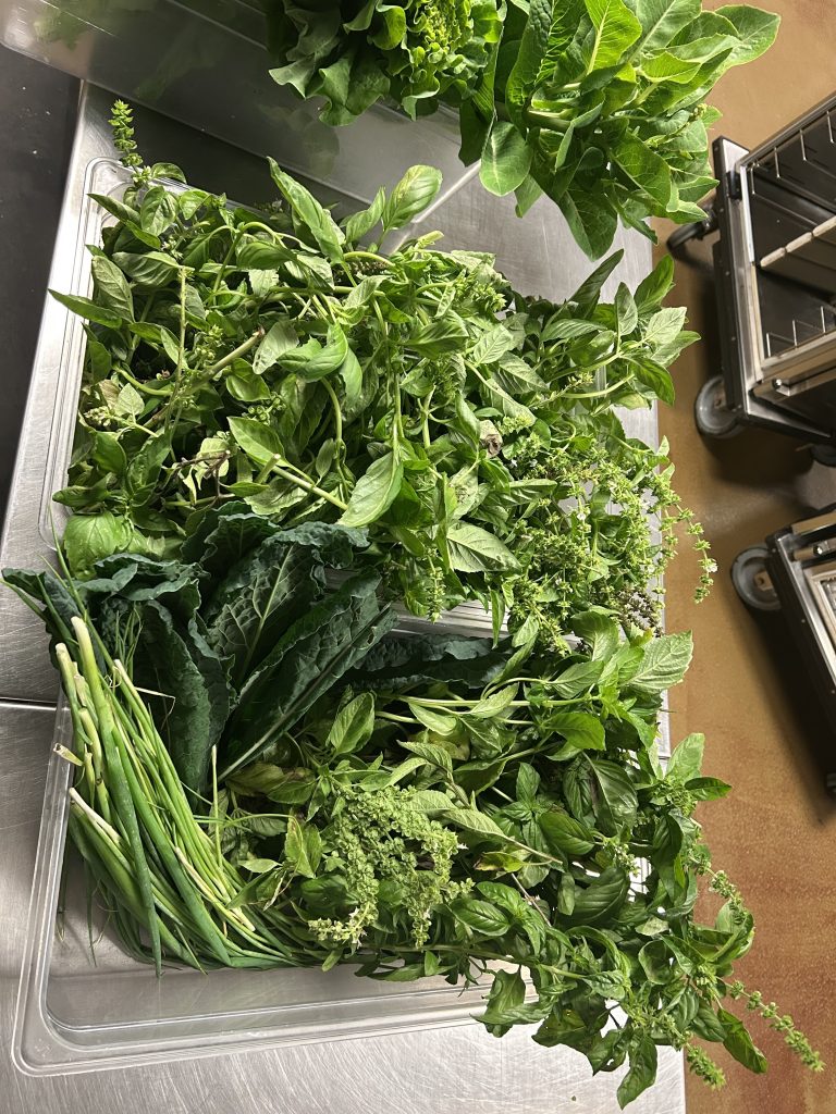Lettuce and vegetables harvested at CIW.