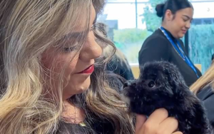 Puppy looks at face of a staff member during the Our Promise 2025 kick-off event at CDCR and CCHCS headquarters in Elk Grove.