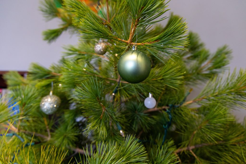 Ball ornaments, building F, Christmas tree at CDCR and CCHCS headquarters in Elk Grove.