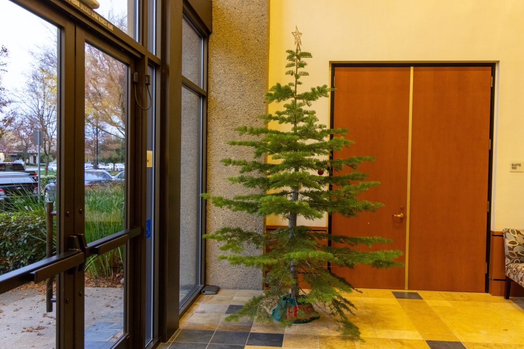 Pine Grove supplied Christmas tree at CDCR and CCHCS headquarters in Elk Grove, building G.