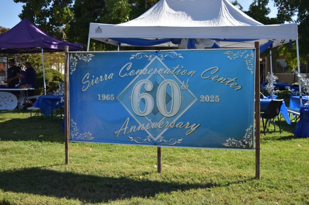 SCC 60th anniversary banner.